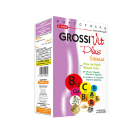 GROSSIVIT PLUS VITAMINE B/45
